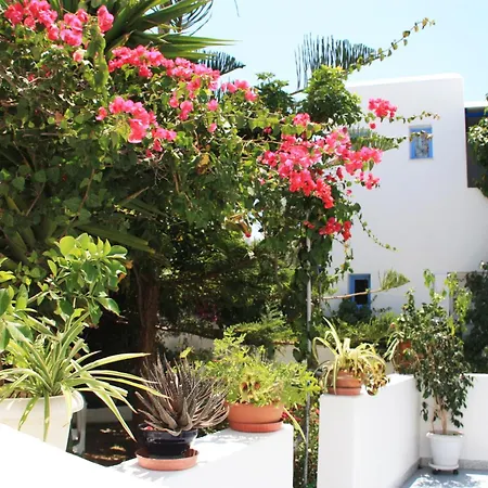 Loukia & Studios Naousa (Paros)